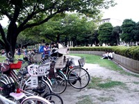 20110806_習志野市香澄_ふるさと香澄公園夏まつり_1806_DSC09884