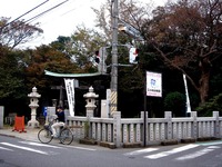 20111103_船橋市三山5_二宮神社_七五三_初宮詣り_1449_DSC09559