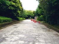 20110618_習志野市秋津_秋津総合運動公園_放射線量_0945_DSC05020