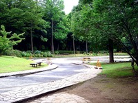 20110618_習志野市香澄5_香澄公園_池_放射線量_1002_DSC05087