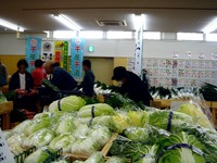 20111123_船橋市行田3_農産物直売所_ふなっこ畑_0931_DSC02229