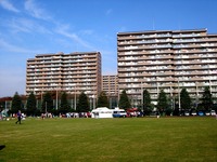 20111113_法典公園_グラスポ_治水＆法典地域祭_0952_DSC01065