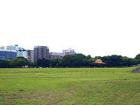 20110618_千葉市美浜区ひび野_幕張海浜公園_放射線量_1137_DSC05407