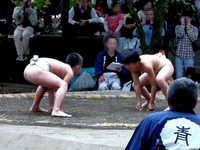 20111023_船橋市宮本5_船橋大神宮_奉納子ども相撲_1053_DSC00418T