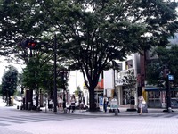 20110813_福島県郡山市_郡山駅西口前_放射線量_1333_DSC00126