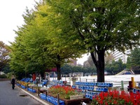 20111022_船橋市行田2_船橋市立行田東小学校_元気村_1015_DSC06948