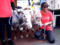 20110723_ふなばし市民まつり_ジョイ&ショッピング_1134_DSC09955