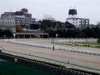 20111001_船橋市若松1_船橋競馬場ふれあい広場_1130_DSC05816