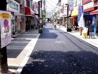 20110703_習志野市谷津4_谷津遊路商店街_舗装_1007_DSC07418