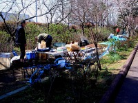 20120408_船橋市_海老川ジョギングロード_サクラ_0934_DSC08086