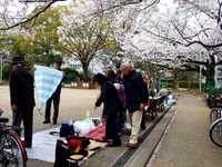 20130330_船橋市本町7_天沼弁天池公園_桜_1256_DSC08917