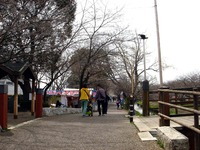 20130320_船橋市_海老川_サクラ_露店_桜_1239_DSC06271