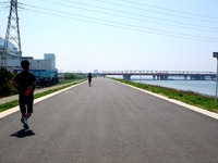 20120429_江戸川放水路_サイクリング_ジョギング_1030_DSC00701