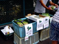 20120623_船橋市夏見1_焼肉やまと駐車場_朝市_0912_DSC00073