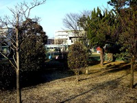 20130203_習志野市_袖ヶ浦こども園_袖ヶ浦保育所_1607_DSC00248