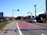 20120408_船橋市_海老川ジョギングロード_サクラ_0912_DSC08015