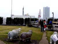 20130330_船橋市本町1_西武船橋_屋上_羊_1155_DSC08733T