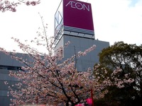 20130317_千葉市美浜区高洲3_マリンピア_桜_1321_DSC05203