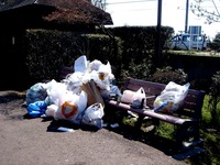 20120408_船橋市_海老川ジョギングロード_サクラ_0913_DSC08022