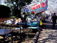 20120408_船橋市_海老川ジョギングロード_サクラ_0937_DSC08110