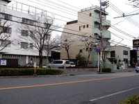 20130324_船橋市市場4_慈心会青山病院_桜_1240_DSC07895