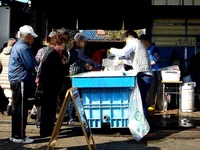 20131116_船橋市湊町3_船橋魚港_岸壁_朝市_1004_DSC08841T