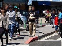20130503_NEXCO東日本_東北自動車道_GW_1006_DSC04800T