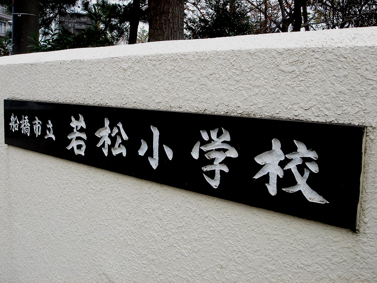 春の風13 入学式のサクラ 38 ビビット13 12