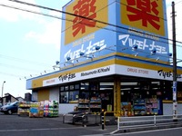 20130608_船橋市夏見3_マツモトキヨシ船橋夏見店_1223_DSC27841T