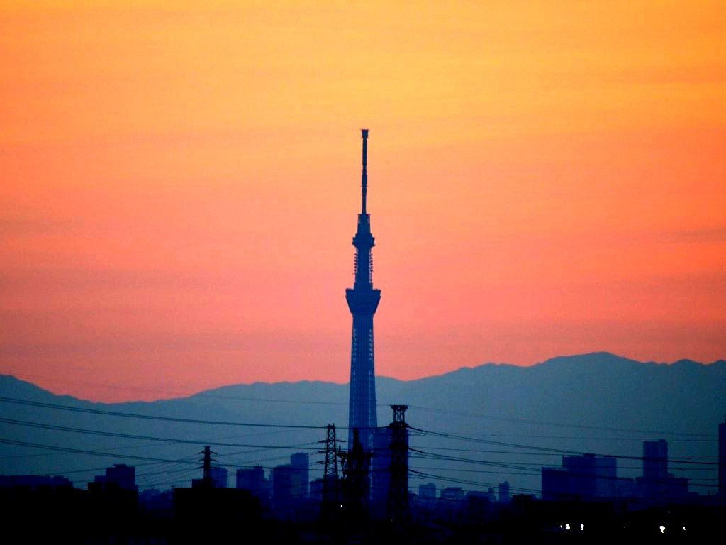 東京スカイツリー 船橋から見たタワー編 11 ビビット13 12