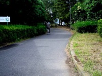 20130706_習志野市茜浜1_緑地帯_女性殺人事件_0833_DSC05507