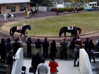 20130208_船橋市若松1_船橋競馬場_新投票所工事_1610_DSC00266U