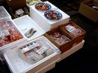 20120303_船橋市市場1_船橋中央卸売市場_ふなばし楽市_0927_DSC06357