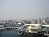 20130310_船橋市_関東南部_煙霧_土ぼこり_風_1209_DSC03272