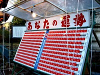 20131231_市川市中山2_中山法華経寺_1534_DSC07994