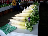 20121111_船橋市市場1_船橋中央卸売市場_農水産祭_1035_DSC01039