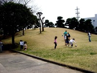 20130320_船橋市若松3_若松公園_桜_1151_DSC05994