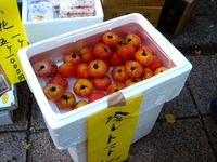 20120825_千葉市_幕張新都心_ベイタウンコア_夏祭り_1750_DSC09668
