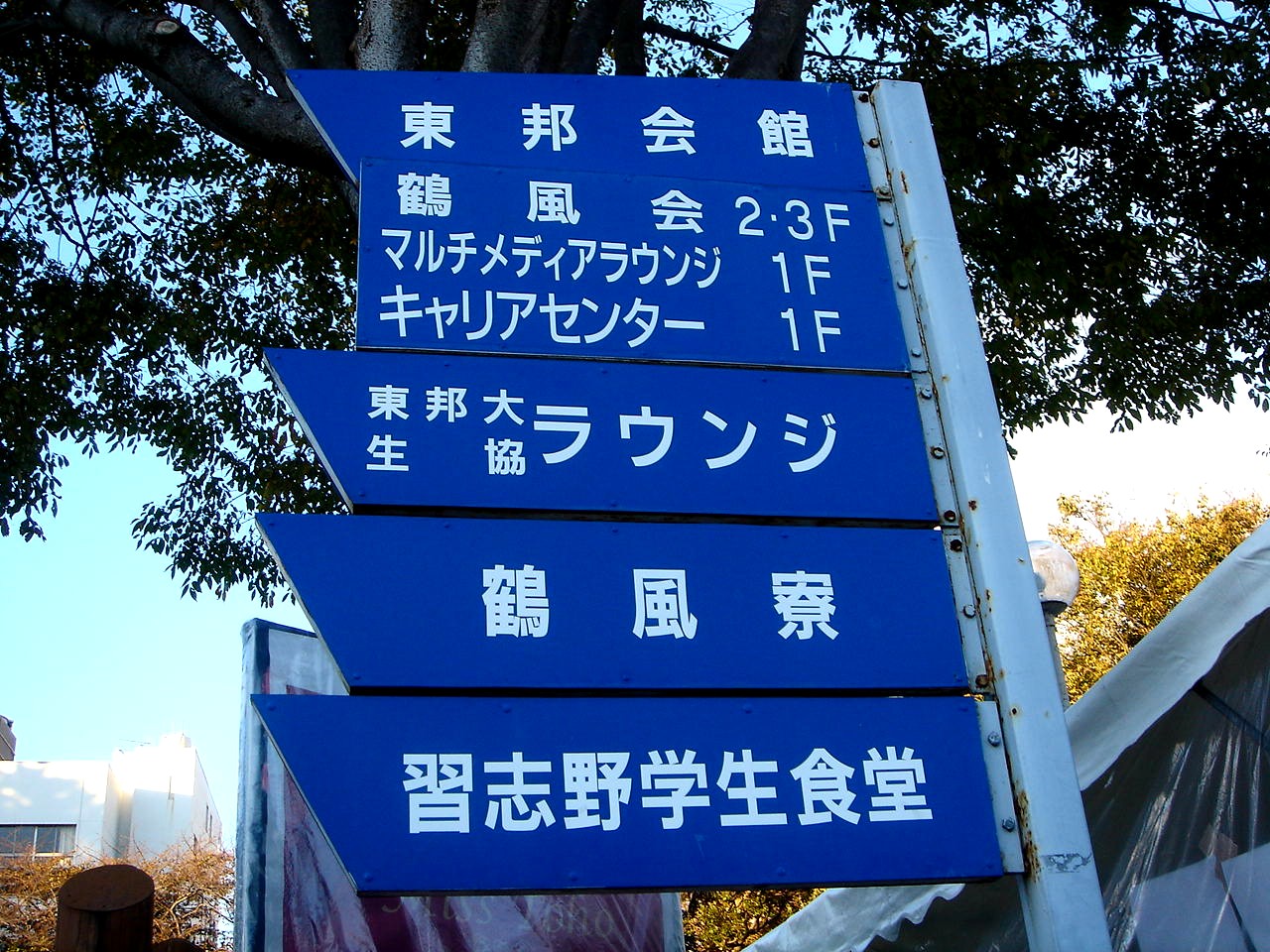 学園祭12 船橋市東邦大学習志野キャンパスの東邦祭 13 ビビット13 12 学園祭12 船橋市東邦大学習志野キャンパスの東邦祭 13 ビビット13 12