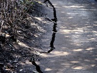 20110313_東日本大震災_海浜香澄公園_地割れ_1200_DSC09677