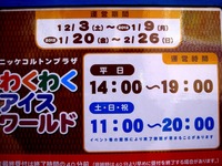 20111231_市川市コルトンプラザ_アイススケートリンク_1336_DSC08130