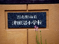 20120505_習志野市_習志野市立津田沼小学校_鯉のぼり_0946_DSC03019