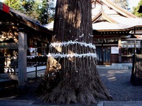 20120114_船橋市三山5_二宮神社_寒川神社_初詣_1025_DSC00182