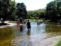 20120819_習志野市香澄5_香澄公園_じゃぶじゃぶ池_1015_DSC08316