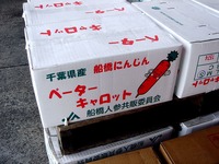 20120602_船橋市市場1_船橋中央卸売市場_ふなばし楽市_0919_DSC06663