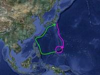 20120723_シラスウナギ_うなぎ_鰻_蒲焼_012