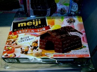 20121225_JR東京駅_ニューデイズ_クリスマスハウス_1855_DSC07560