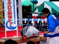 20121111_船橋市市場1_船橋中央卸売市場_農水産祭_1004_DSC00980