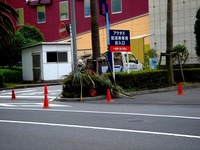 20120621_関東圏_首都圏_台風4号_強風_豪雨_0739_DSC09880