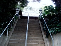 20120102_習志野市谷津1_丹生神社_丹生都比売神_初詣_1415_DSC08508